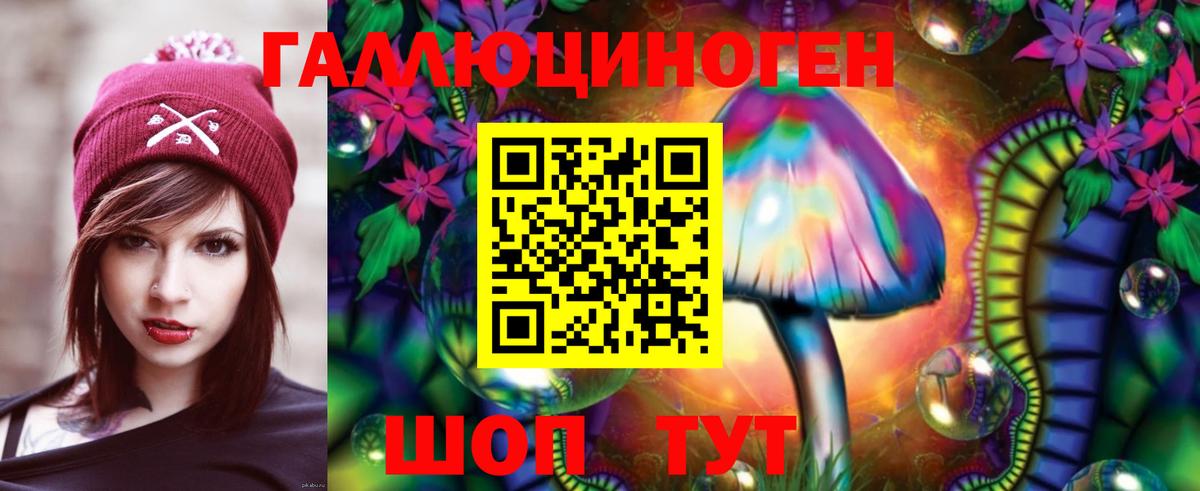 Галлюциногенные грибы Psilocybine cubensis Нефтекумск